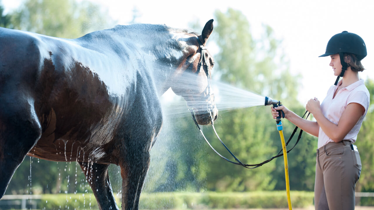Summer Horse Riding Fashion Essentials for Hot Days