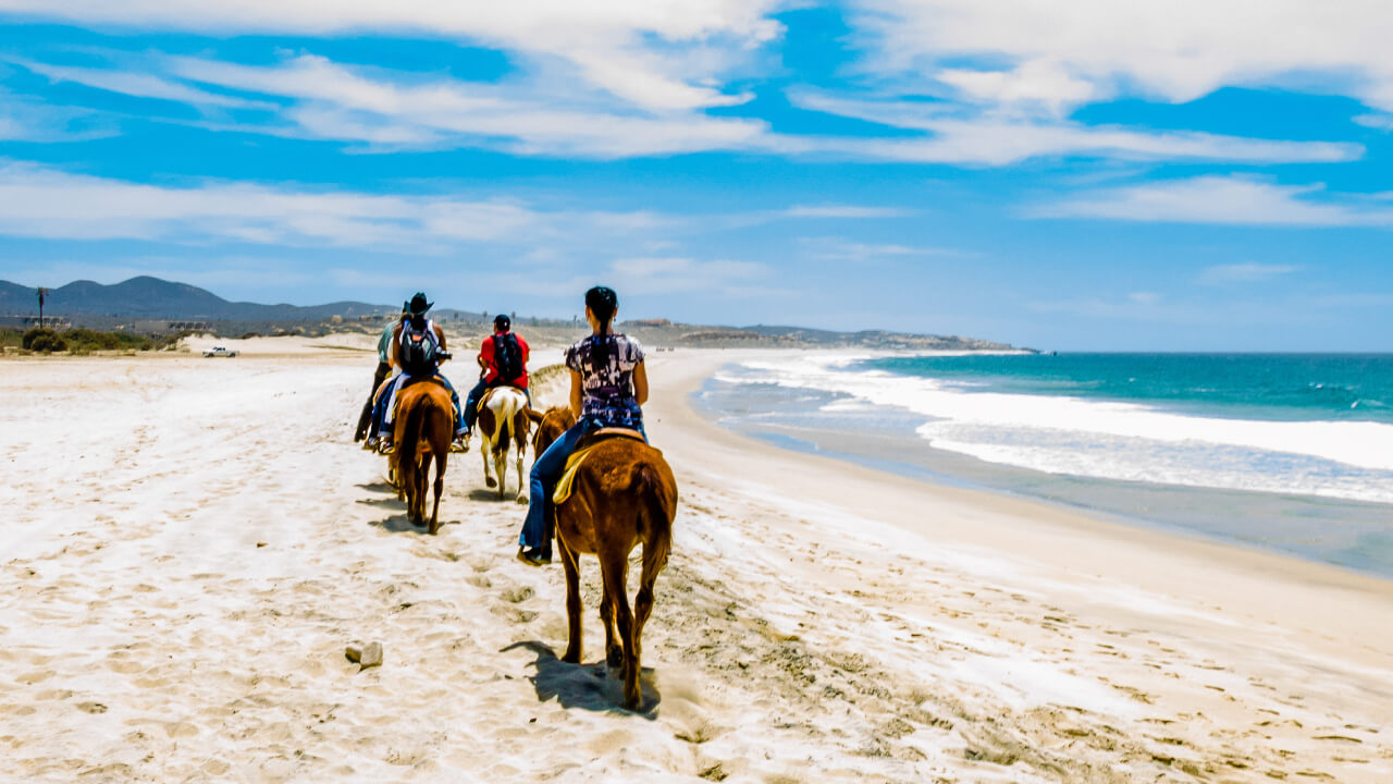 Can horseback riding truly heal? A guide for beginners!