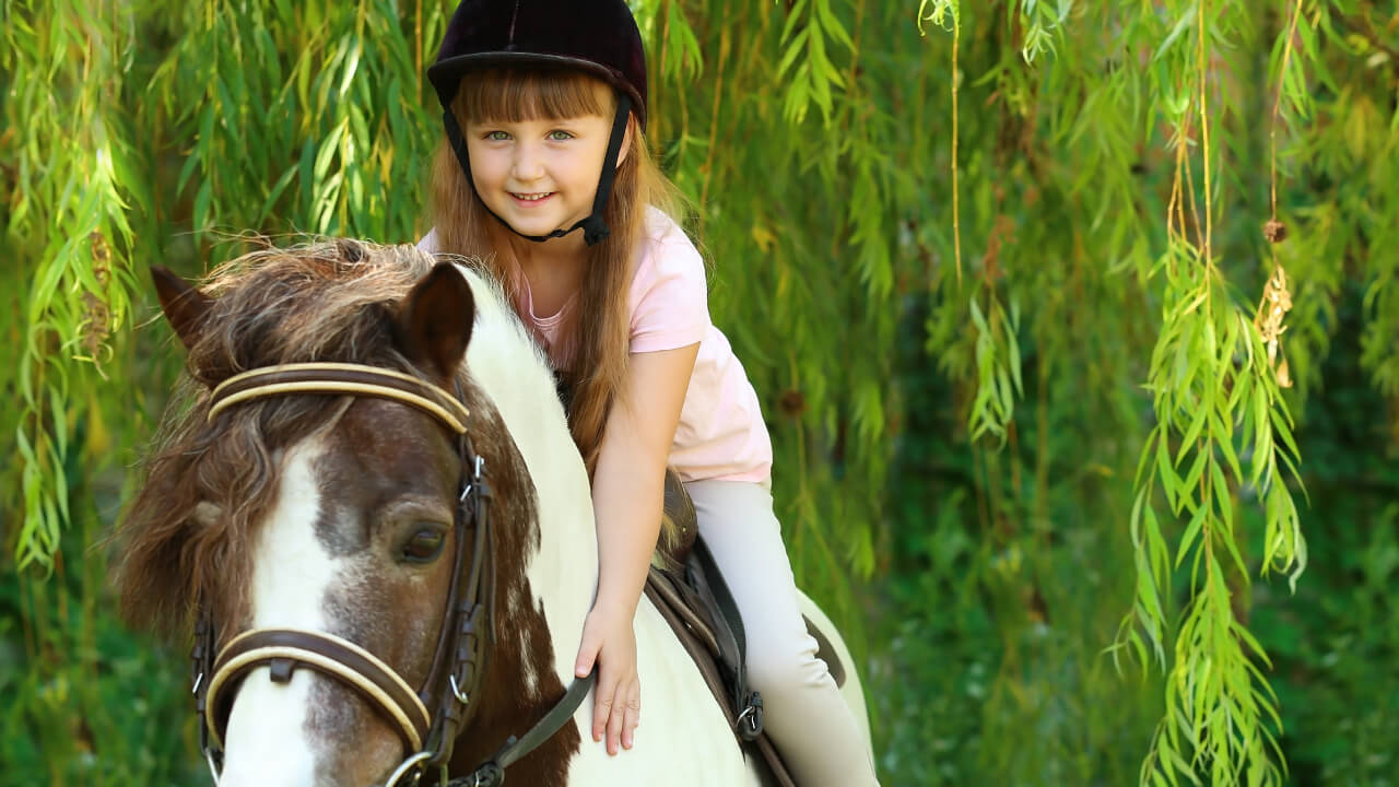 Can horseback riding truly heal? A guide for beginners!