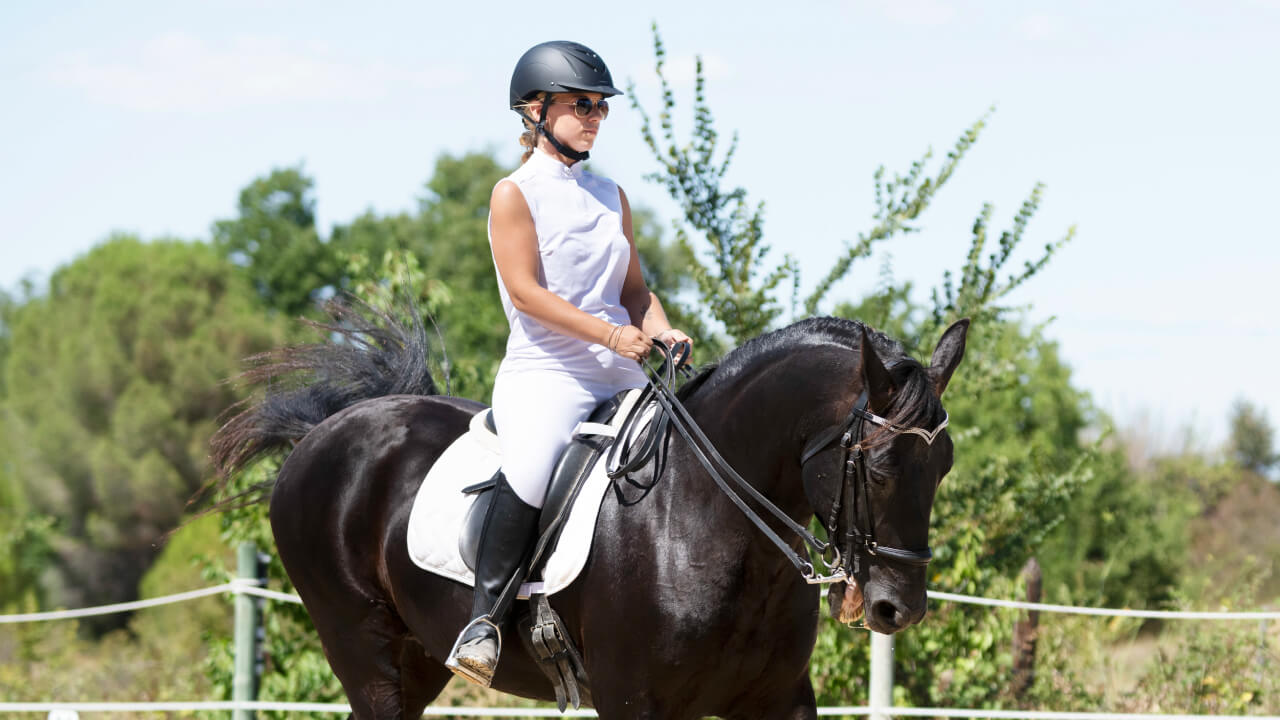 Horse Riding Basics: Understanding Walking (Onamist) for Beginners