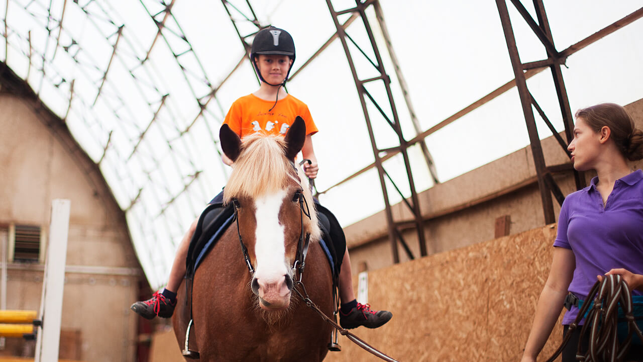 Understanding the Riding Seat to Improve Your Horseback Riding Skills