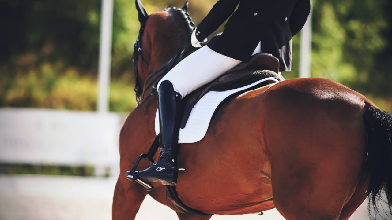 Why does my butt hurt and bounce during the canter?