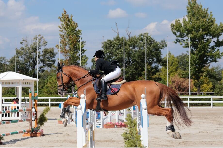 What is the process of designing show jumping courses?