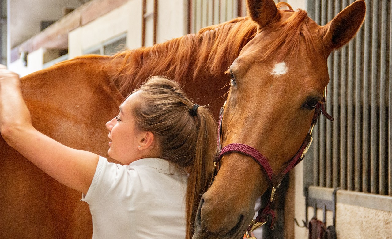 How to Build Trust with Horses and Improve Your Riding