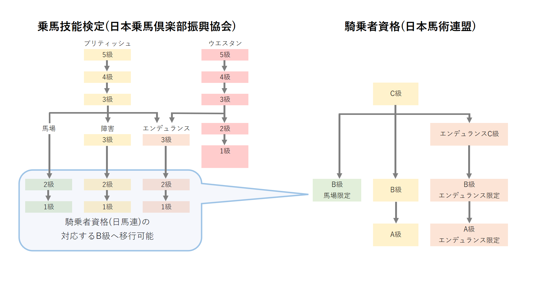 Summary of horse riding licenses and rider qualifications for trail rides and competitions