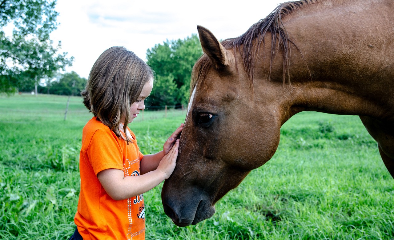 Horse and human bond through massage