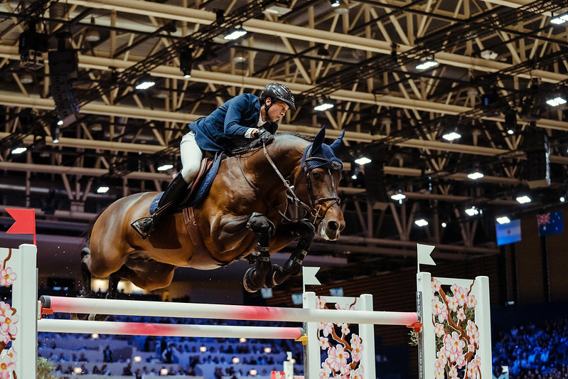 How are show jumping courses designed?