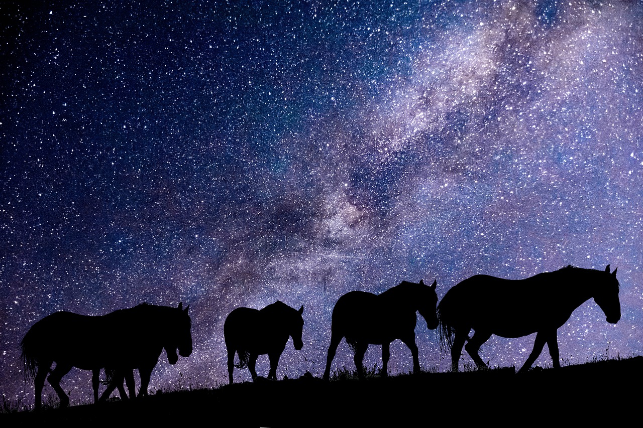 Do horses see differently from humans? What colors do they see?