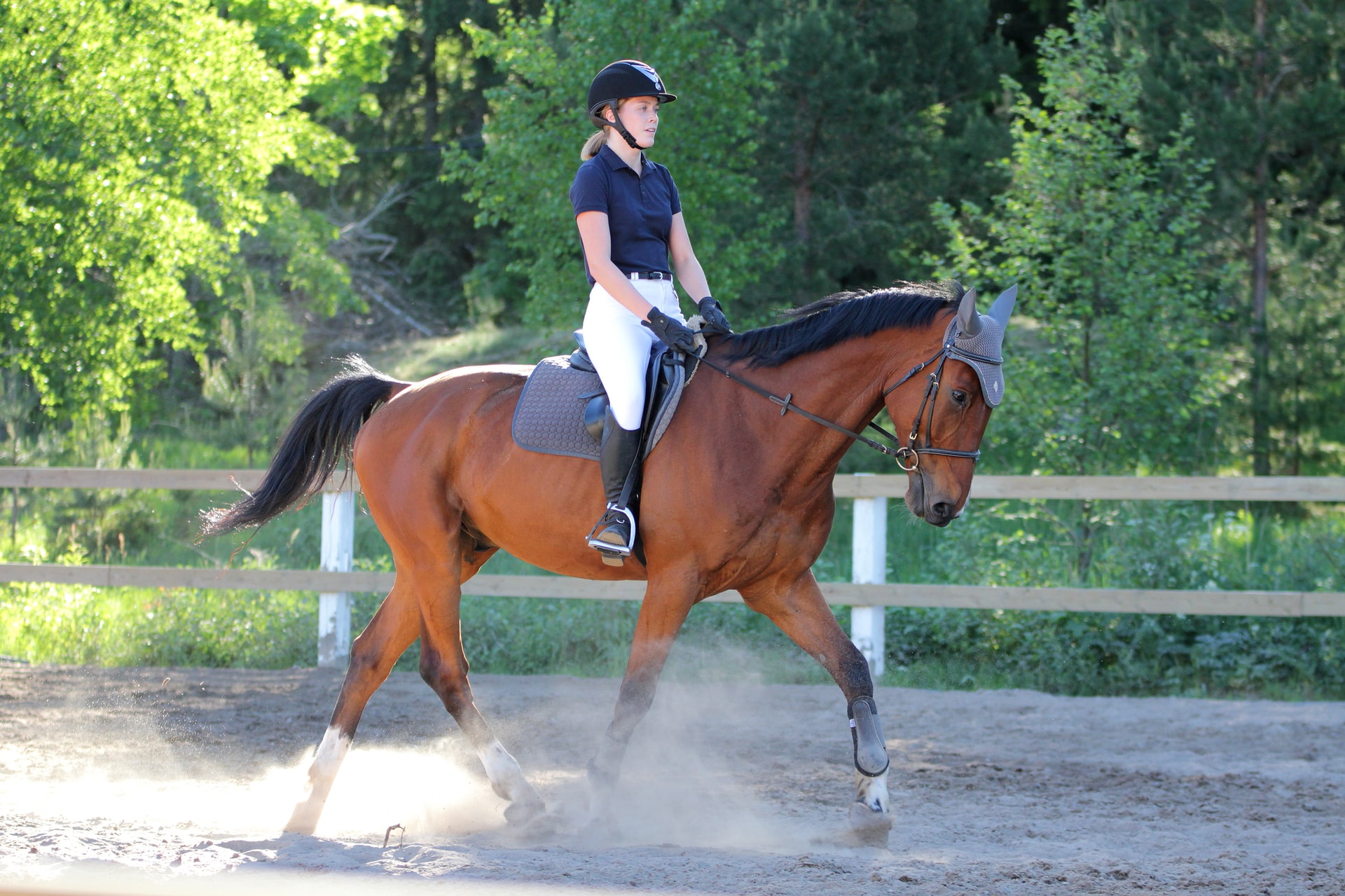 What Is Equestrian Gymnastics? Exercise on Horseback Explained