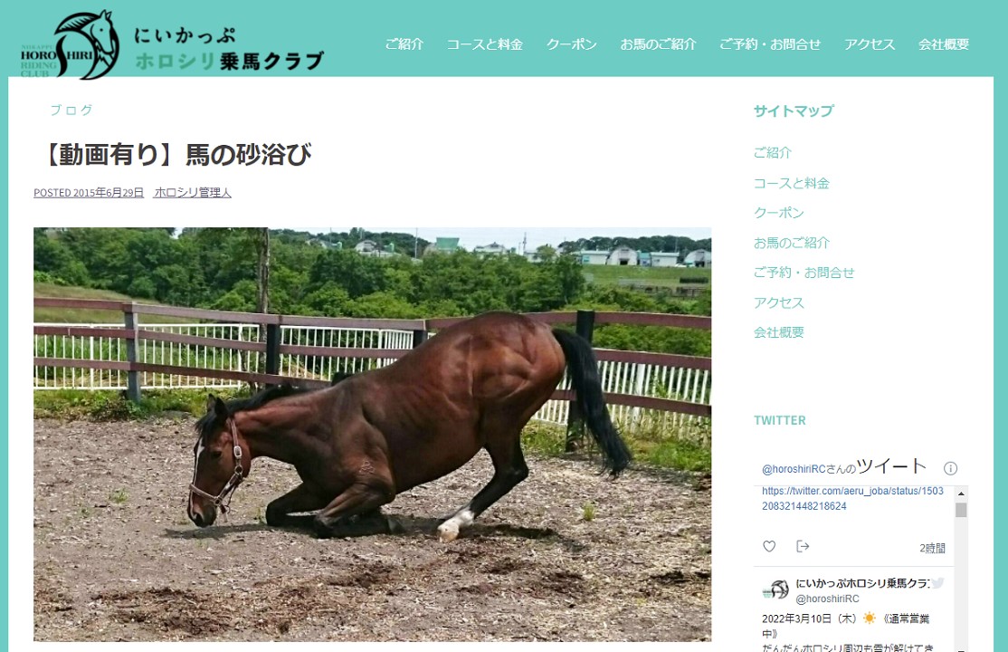 Why Horses Roll on the Ground: Reasons and Safety Tips