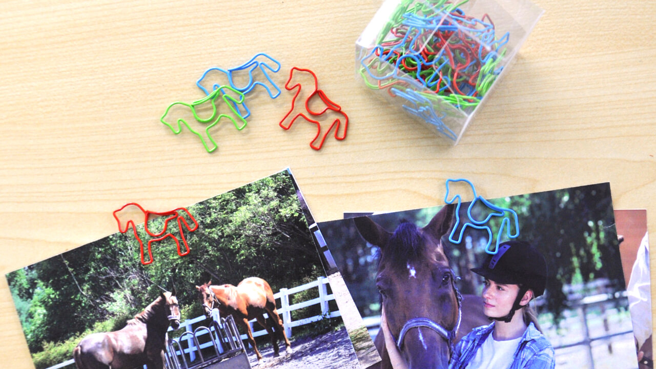 Horse Clip with Photos