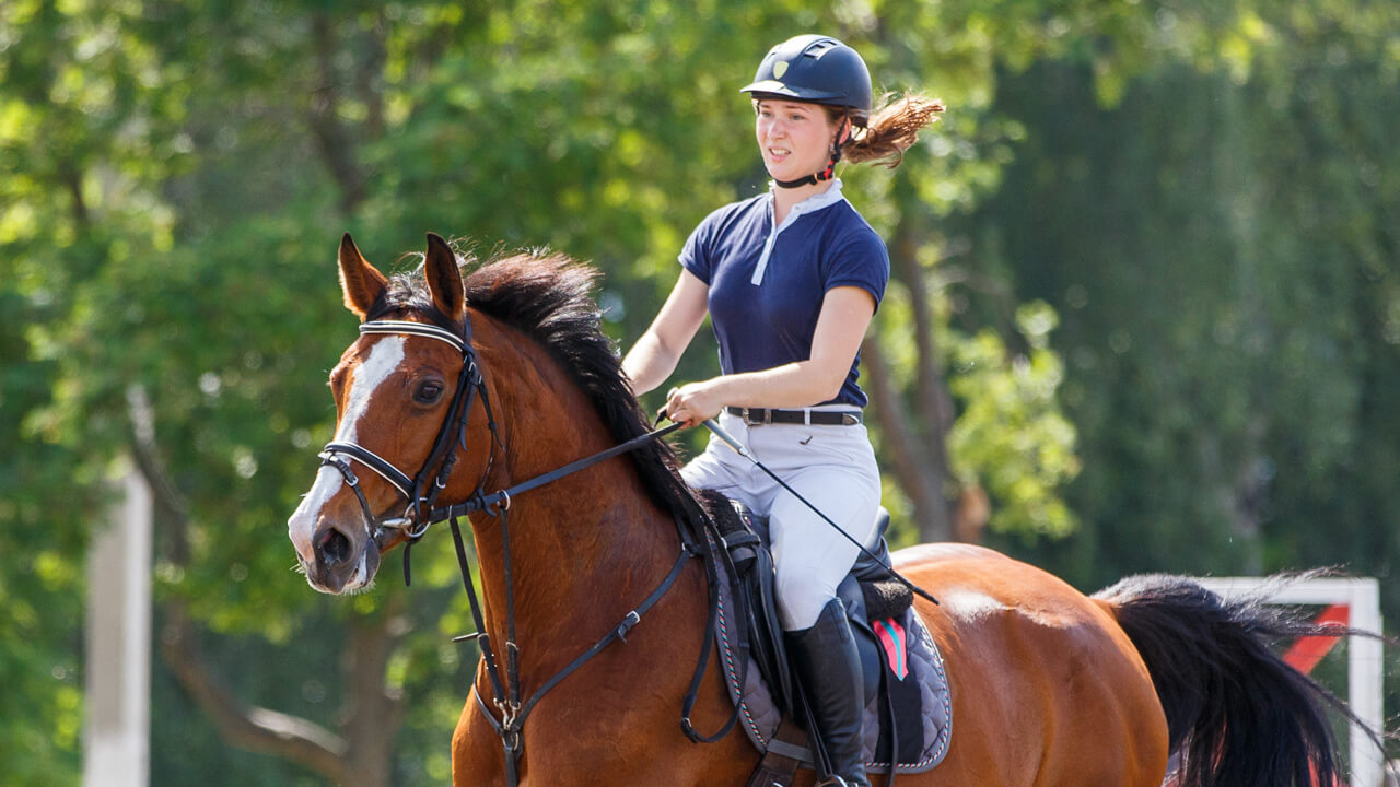 Basic Horse Riding: Tips for Beginners to Master Proper Posture and Movement