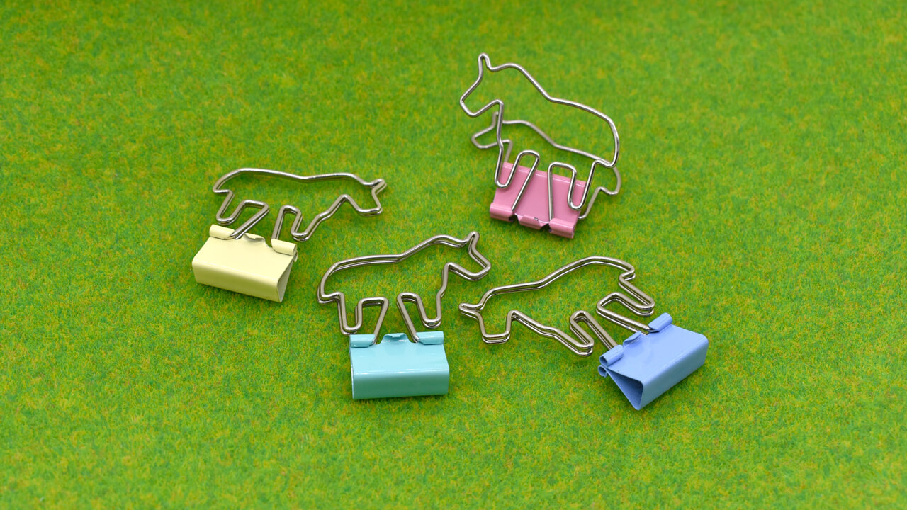 Clip display