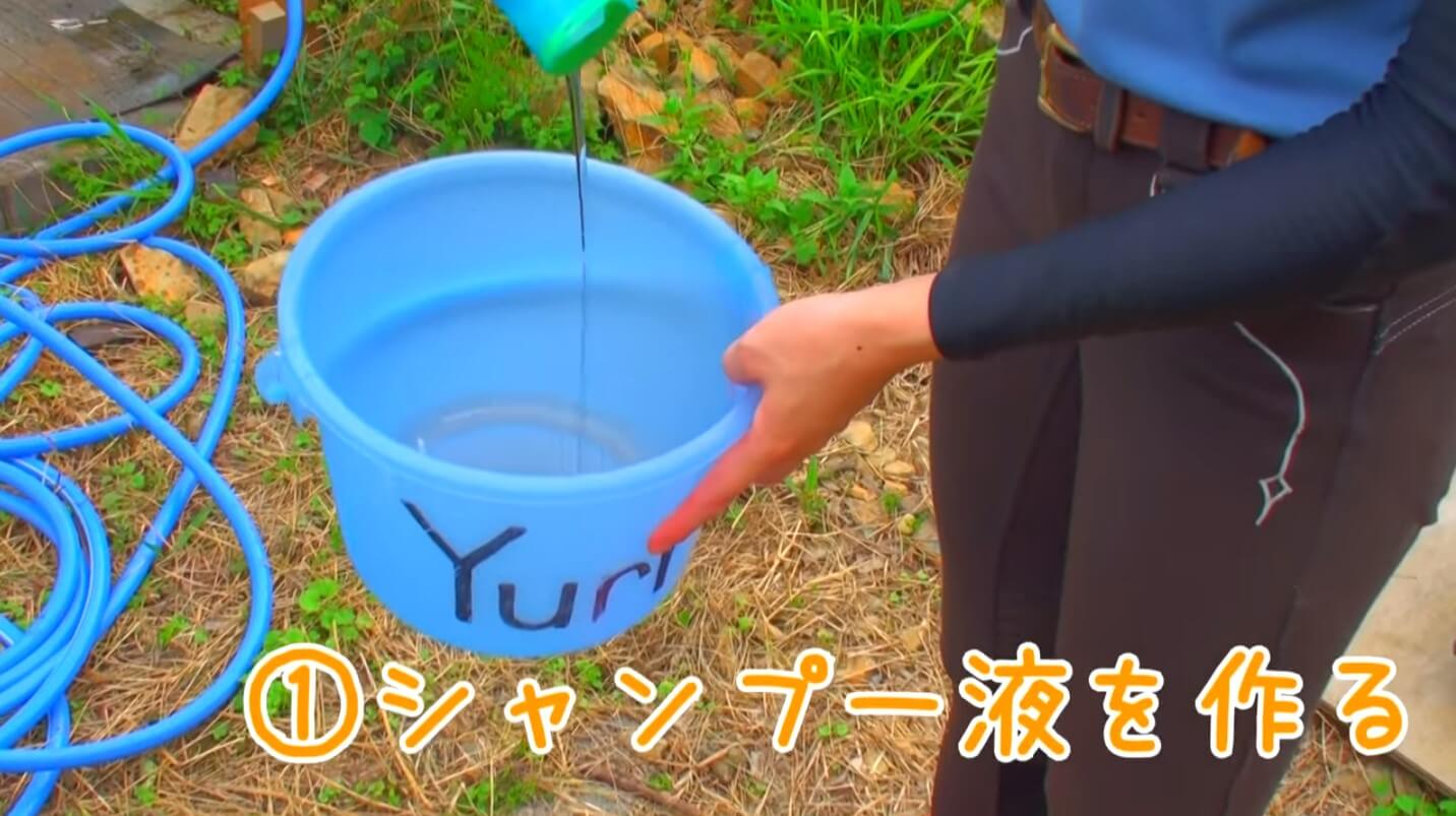 Horse Shampoo Tutorial Video