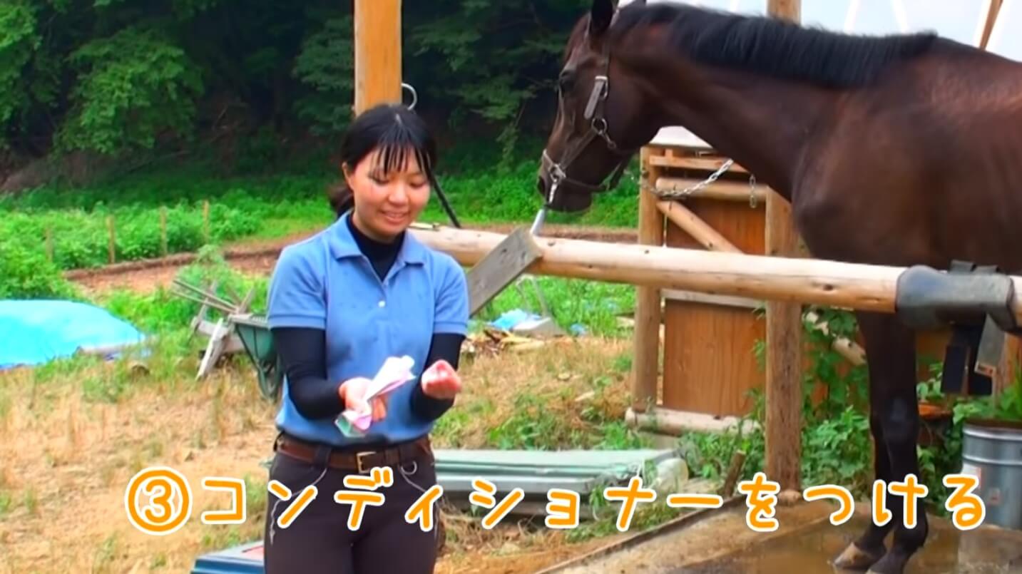 Horse Shampoo Tutorial Video