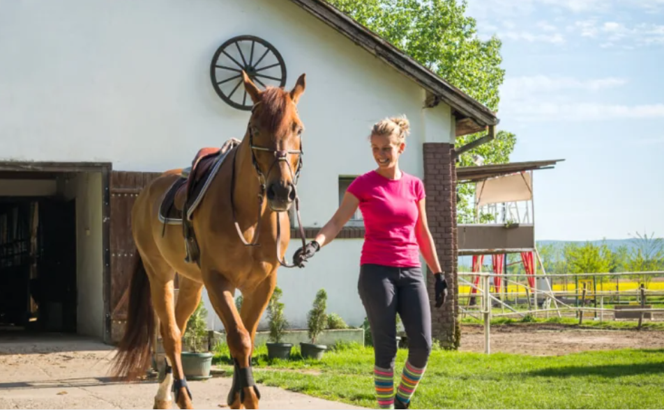 How to wear riding socks