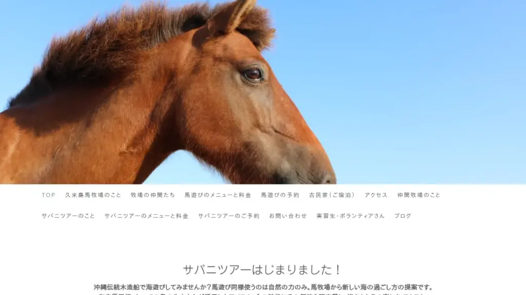 Kumejima Horse Farm