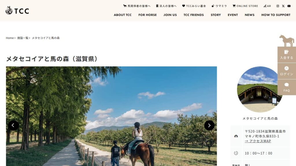 Metasequoias and Horse Forest