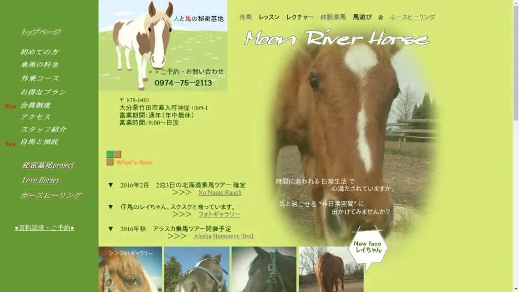 Moon River Horse